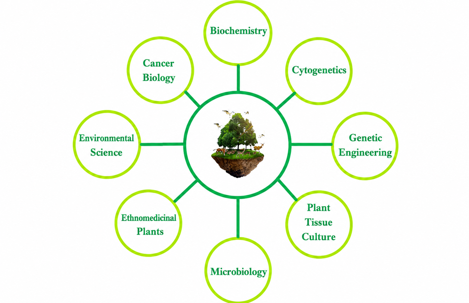 Bio Research Areas